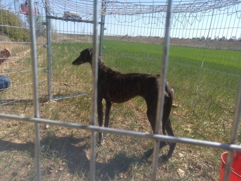 multimedia-foto57284-634-1