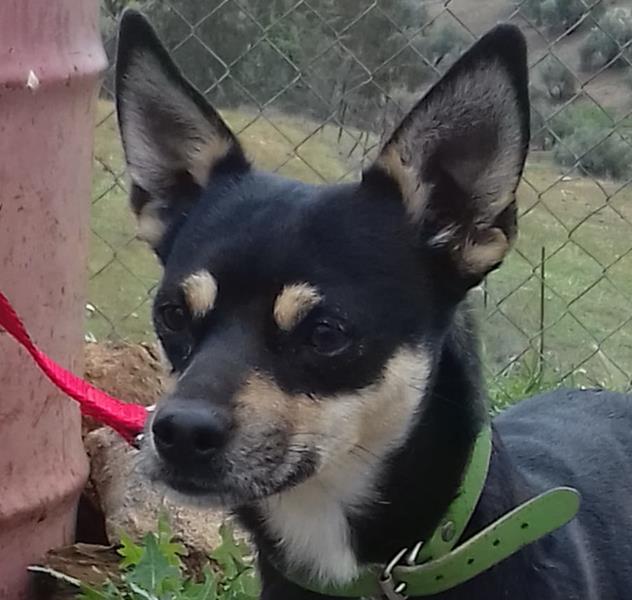 multimedia-foto57286-156-1