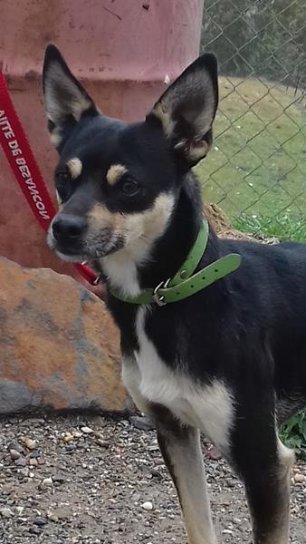 multimedia-foto57287-156-1