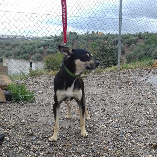 multimedia-foto57288-156-1