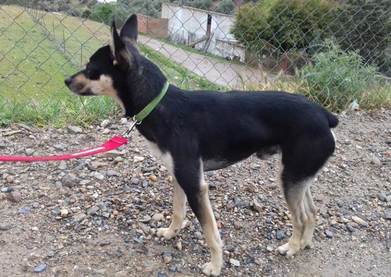 multimedia-foto57289-157-1