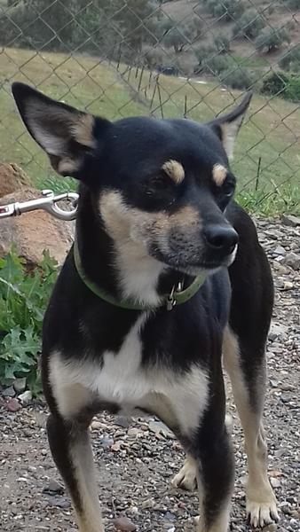 multimedia-foto57290-157-1