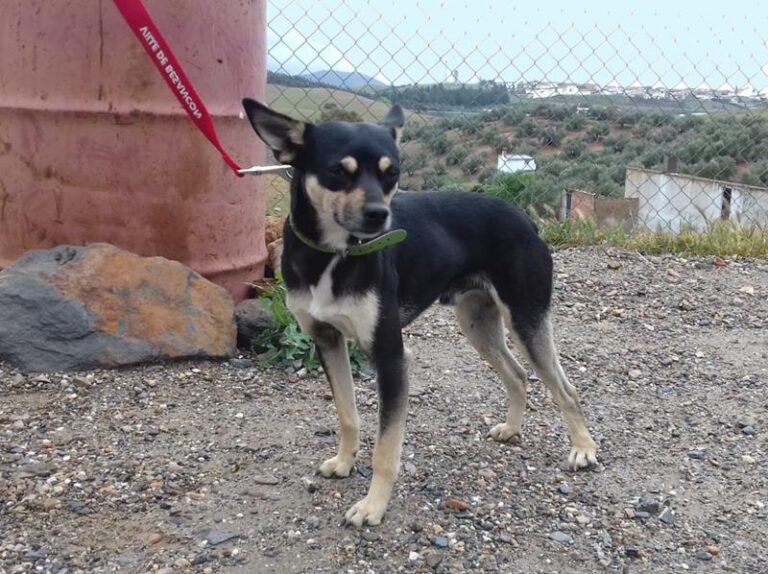 multimedia-foto57291-157-1