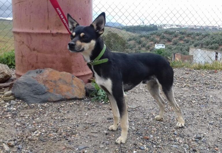 multimedia-foto57292-157-1