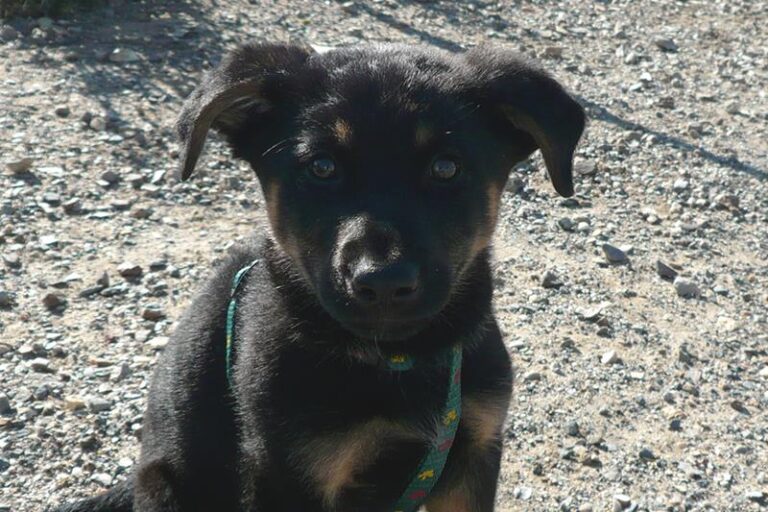 multimedia-foto57305-358-1