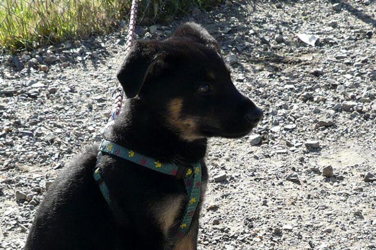 multimedia-foto57306-358-1