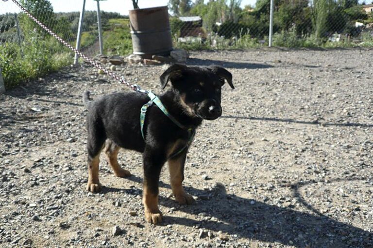 multimedia-foto57307-358-1