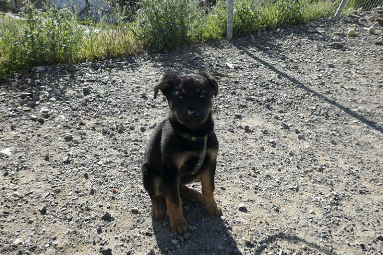 multimedia-foto57309-359-1