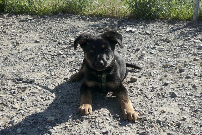 multimedia-foto57310-359-1