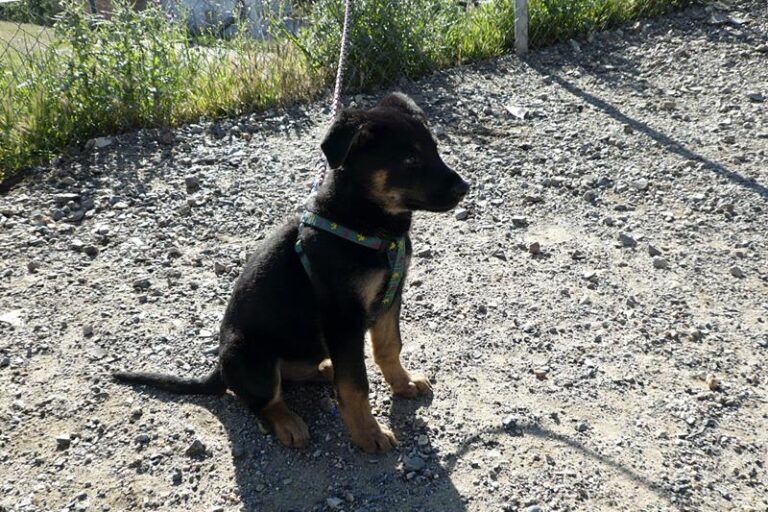 multimedia-foto57311-359-1