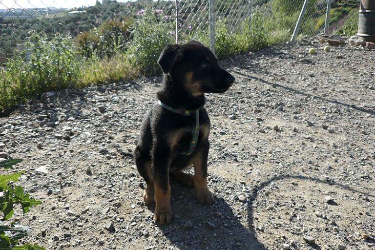 multimedia-foto57313-359-1