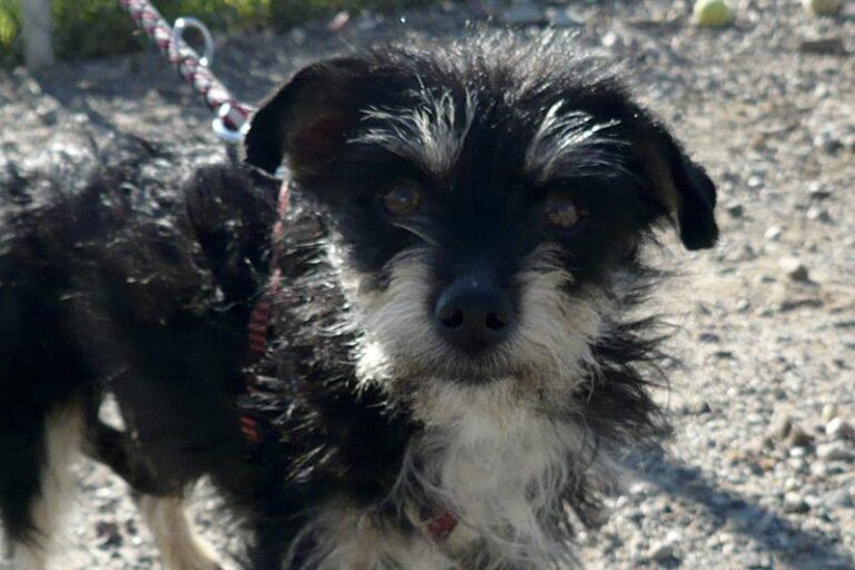 multimedia-foto57315-364-1