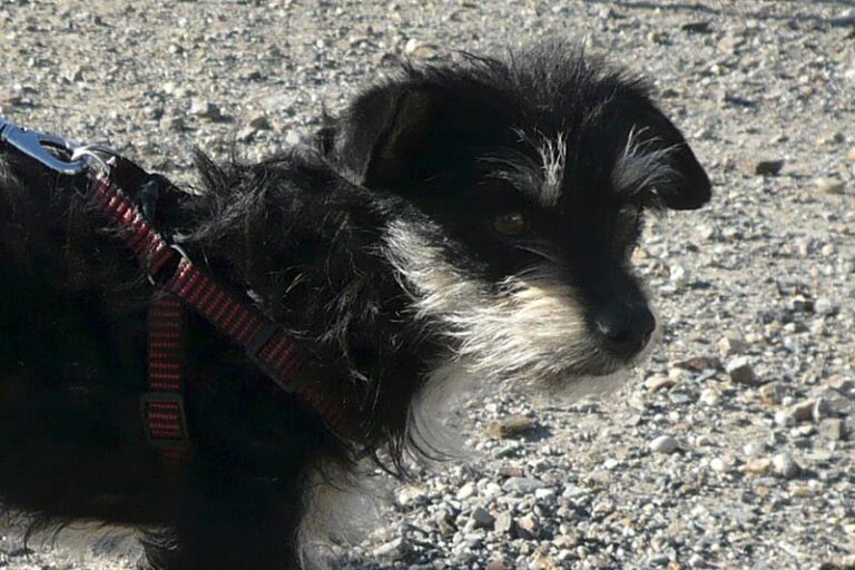 multimedia-foto57316-364-1