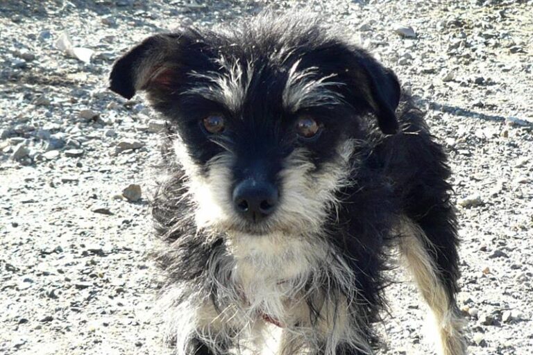 multimedia-foto57317-364-1