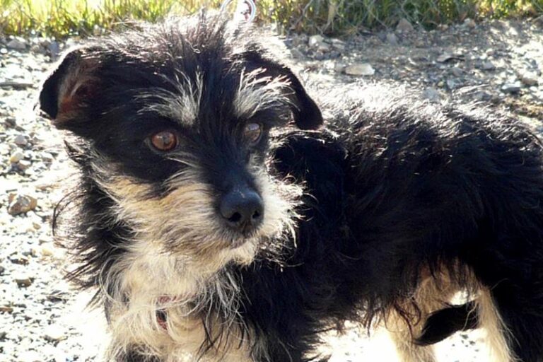 multimedia-foto57318-364-1