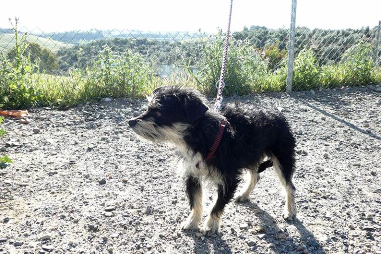 multimedia-foto57319-364-1