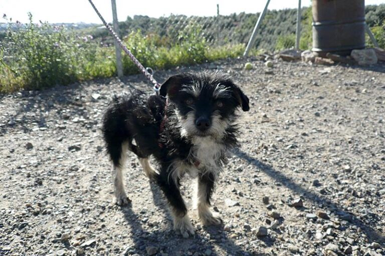 multimedia-foto57320-364-1