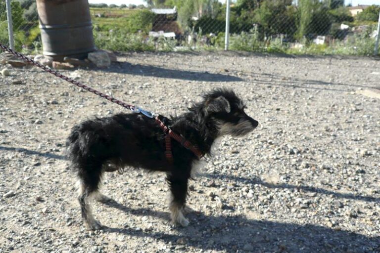 multimedia-foto57321-365-1