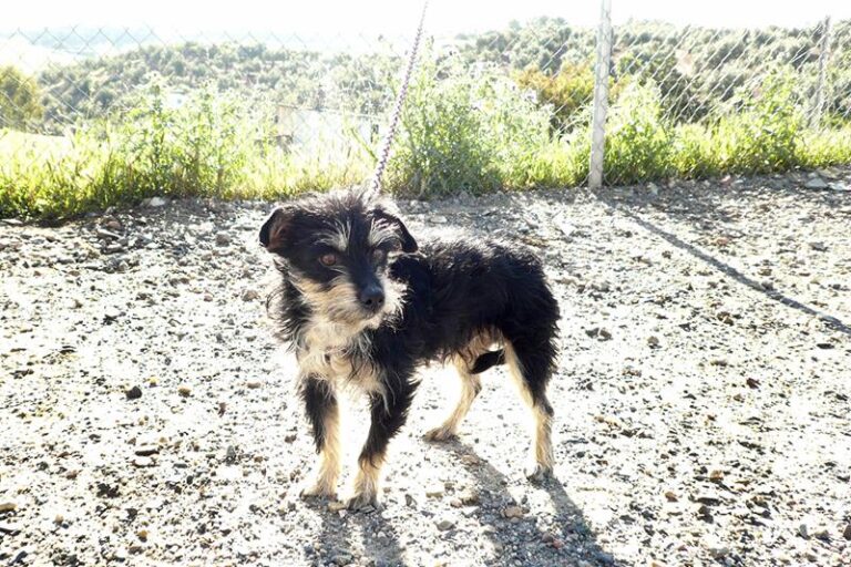 multimedia-foto57322-365-1