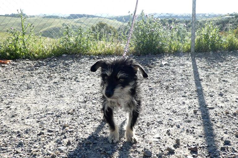 multimedia-foto57324-365-1