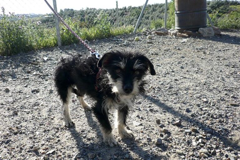 multimedia-foto57325-365-1