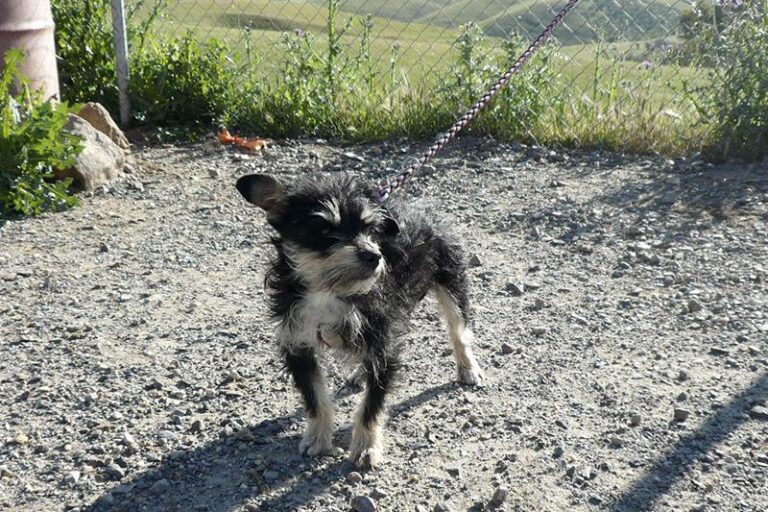 multimedia-foto57326-365-1