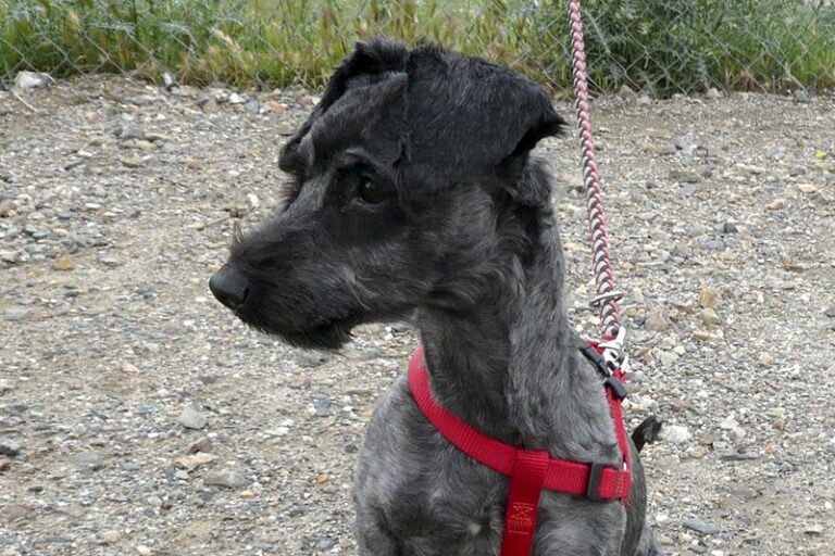 multimedia-foto57327-459-1