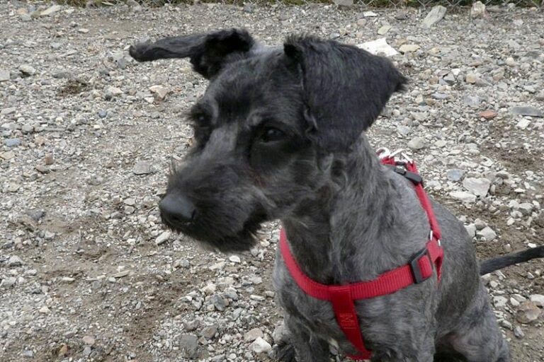 multimedia-foto57328-459-1