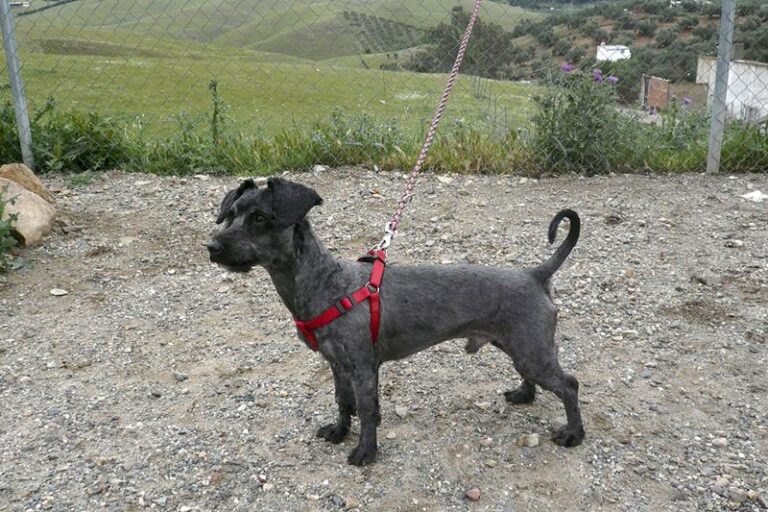 multimedia-foto57329-459-1