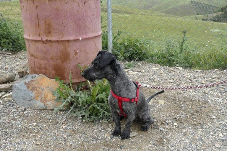 multimedia-foto57330-459-1