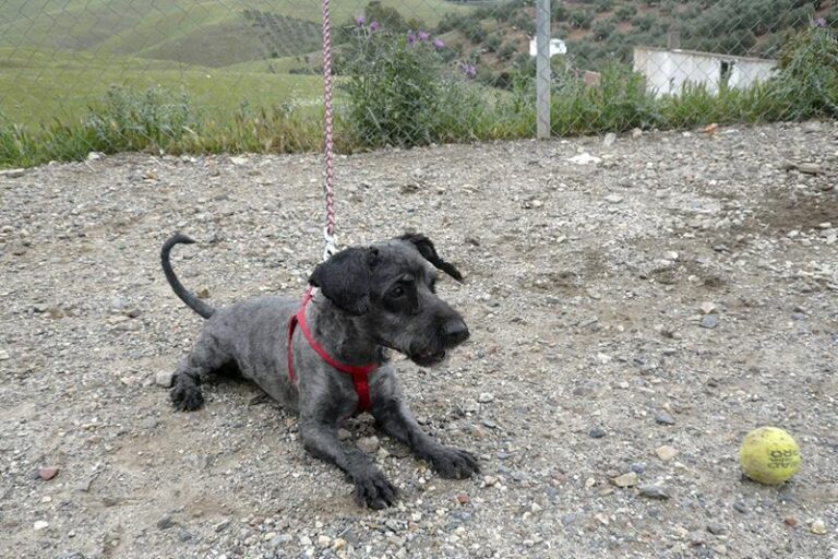 multimedia-foto57331-459-1