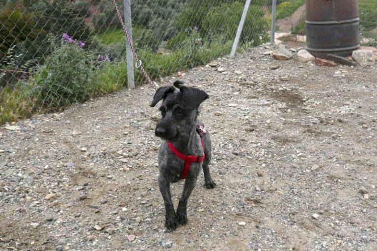 multimedia-foto57332-459-1