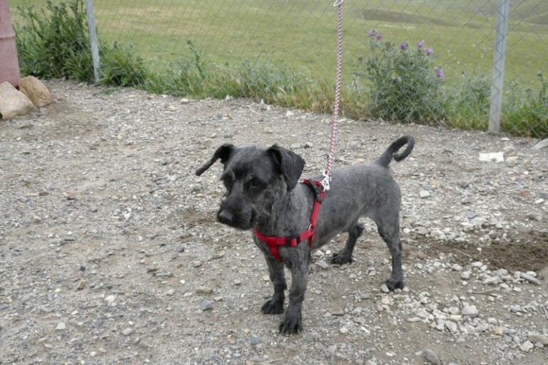 multimedia-foto57333-460-1