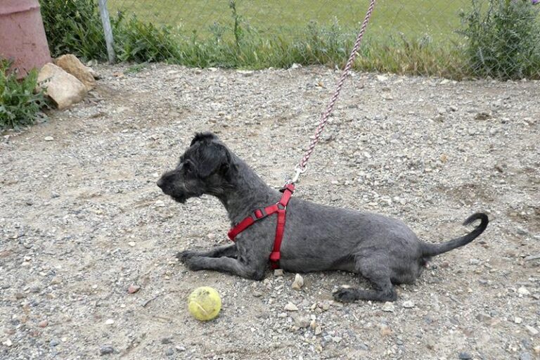 multimedia-foto57334-460-1