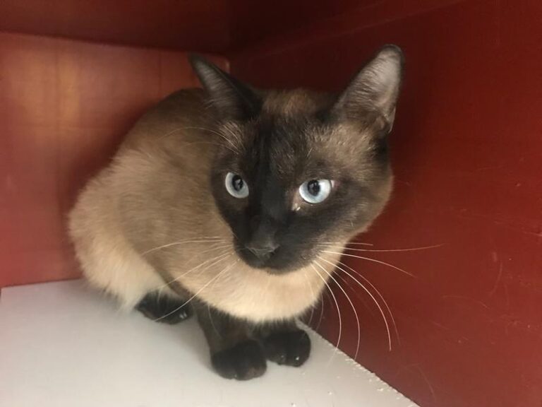 multimedia-foto57335-998-1