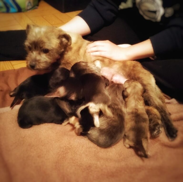 multimedia-foto57345-232-1