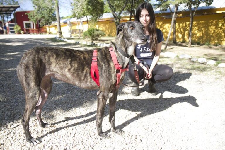 multimedia-foto57367-918-1