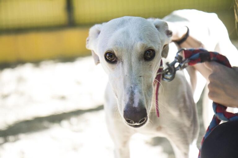 multimedia-foto57368-239-1