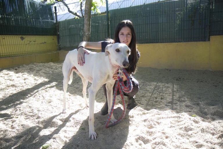 multimedia-foto57370-239-1