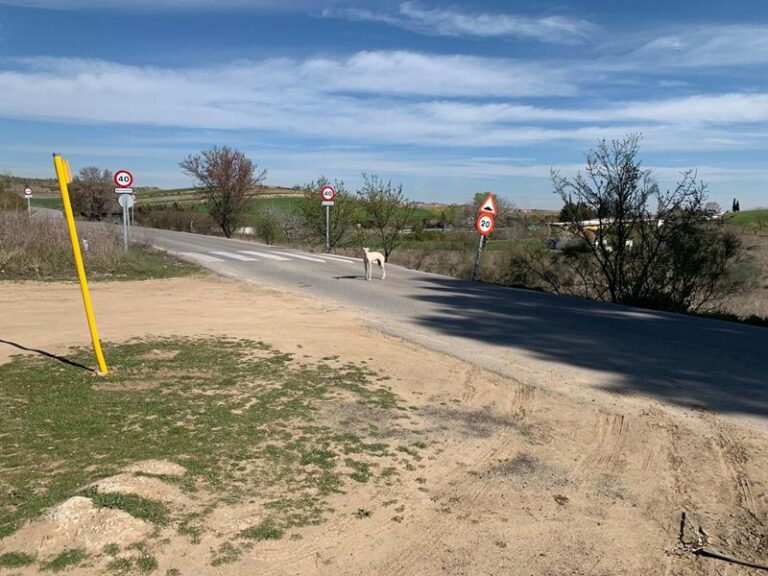 multimedia-foto57371-349-1