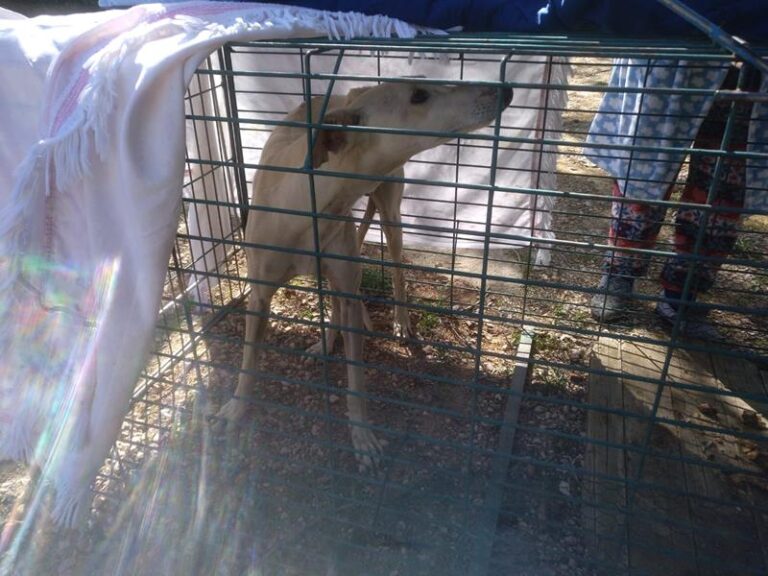 multimedia-foto57372-349-1