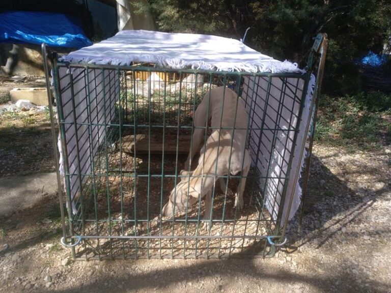 multimedia-foto57373-350-1