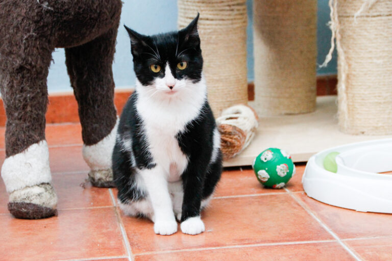 multimedia-foto57389-316-1