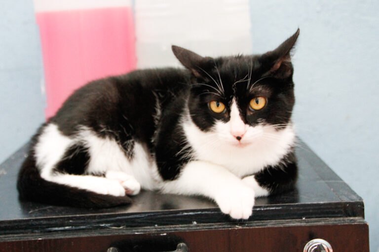 multimedia-foto57390-316-1