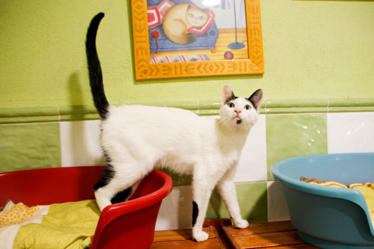 multimedia-foto57393-387-1