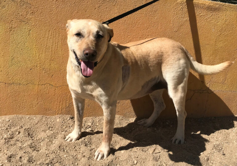 multimedia-foto57421-762-1