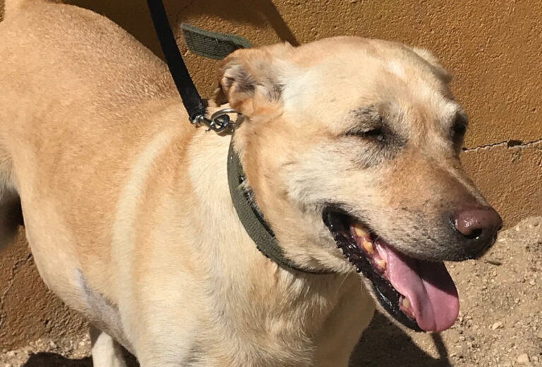 multimedia-foto57422-762-1