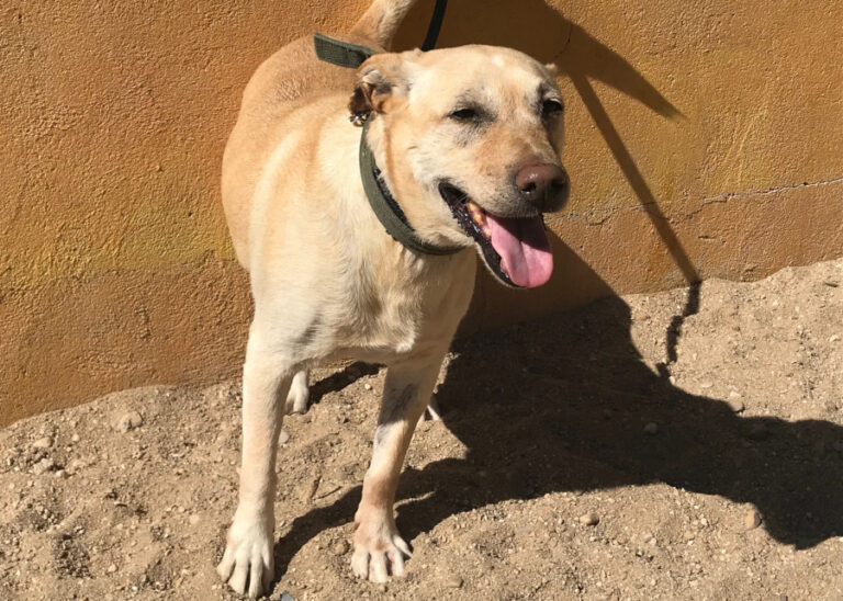 multimedia-foto57423-796-1