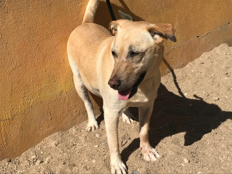 multimedia-foto57425-797-1