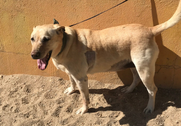 multimedia-foto57426-797-1